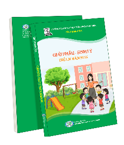 Giải phẫu - Sinh lý trẻ em mầm non